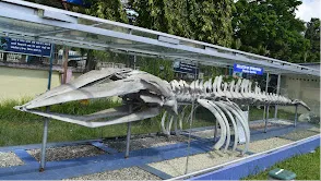 Samudrika Marine Museum